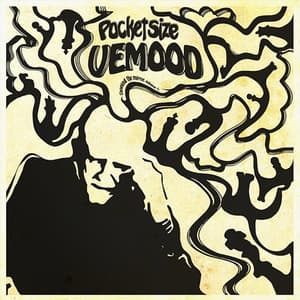 Vemood - Cleaning The Mirror, Volume 1