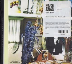 Here Come The Warm Jets