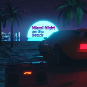 Miami Night On The Beach
