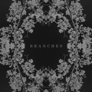 Branches
