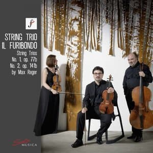 Reger: String Trios Nos. 1 & 2