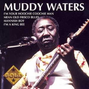 Muddy Waters