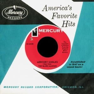 The Blues Magoos: Mercury Singles (1966-1968)
