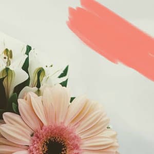 Hypnotic Bgm for Sunday Morning Loafing