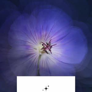 Deluxe Background for Pure Daydreamers