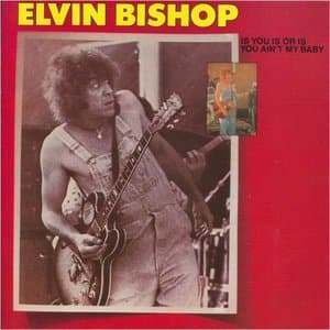 Is You Or Is You Aint My Baby