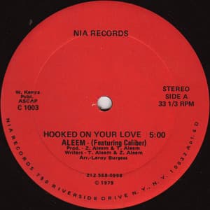 Hooked On Your Love