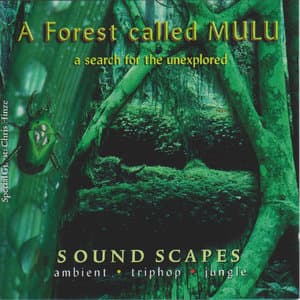 A Forest Called Mulu