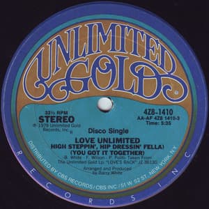 High Steppin', Hip Dressin' Fella