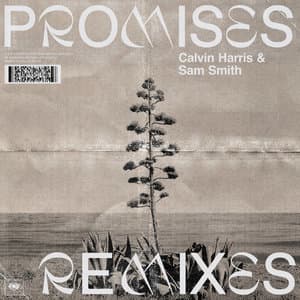 Promises (Remixes)