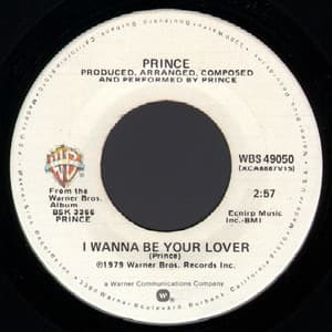 I Wanna Be Your Lover