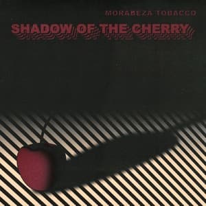 Shadow of the Cherry