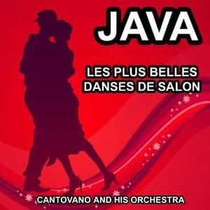 Les plus belles danses de salon : Java