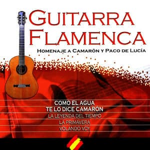 N 5 - Your Songs On Spanish Guitar