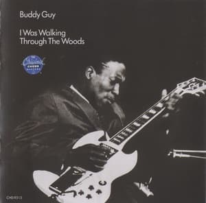 I Was Walking Through The Woods