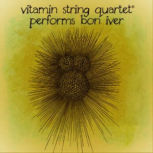 Vitamin String Quartet Performs Bon Iver (Digital Only)