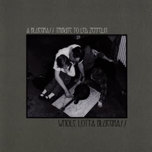 Whole Lotta Bluegrass: A Vocal Bluegrass Tribute to Led Zeppelin