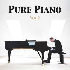 Pure Piano Vol.2