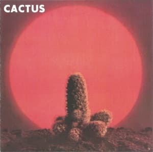 Cactus
