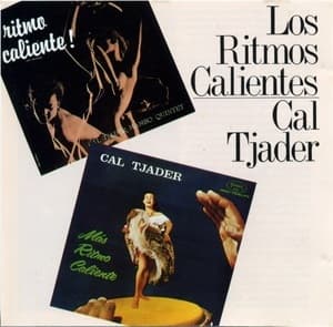 Los Ritmos Calientes