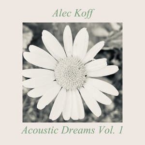 Acoustic Dreams, Vol. 1
