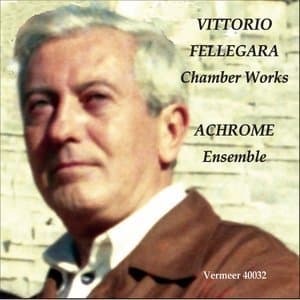 Vittorio Fellegara: Chamber Works