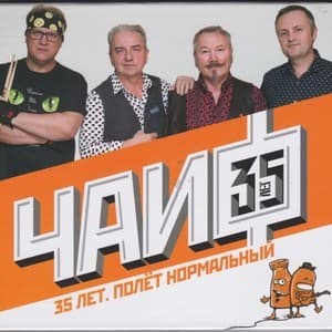 35 лет. Полёт Нормальный