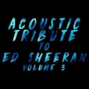 Acoustic Tribute to Ed Sheeran, Vol. 3 (Instrumental)