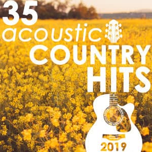 35 Acoustic Country Hits 2019 (Instrumental)