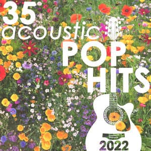 35 Acoustic Pop Hits 2022 (Instrumental)