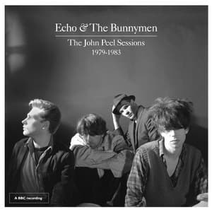 The John Peel Sessions 1979-1983 (Remastered)