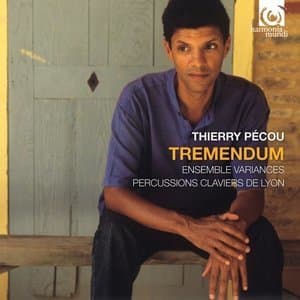 Thierry Pecou: Tremendum