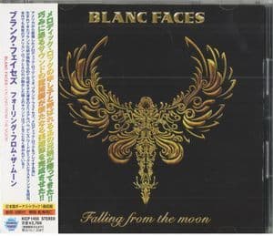 Falling From The Moon