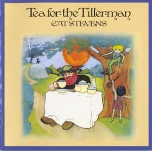Tea For The Tillerman