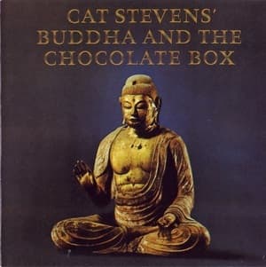 Buddha And The Chocolate Box