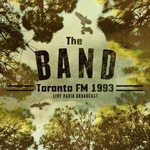 Toronto FM 1993