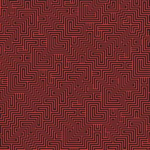 Wilderness of Mirrors