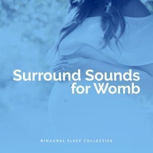 Surround Sounds for Womb