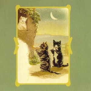 L'affannoso Respiro Del Gatto