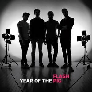 Year Of The Pig 