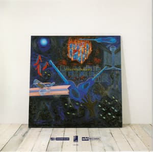 Blue Guitars LC01666 (Album 6: Chicago Blues)