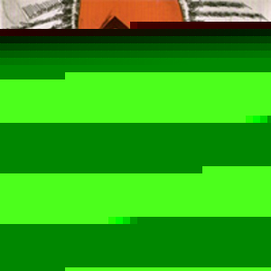 Le Spectacle De Lalbatros