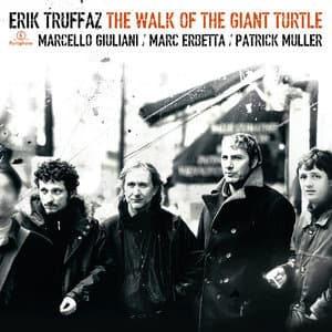 The Walk Of The Giant Turtle