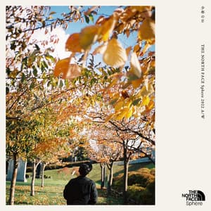 Light years II (THE NORTH FACE Sphere A/W)