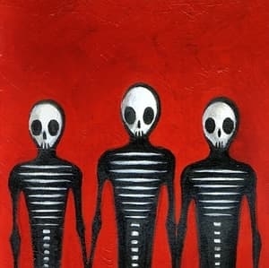 (il Sogno Del Gorilla Bianco)