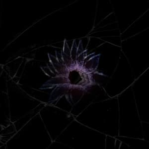 Separate But Coexisting