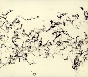 There is No More Firmament