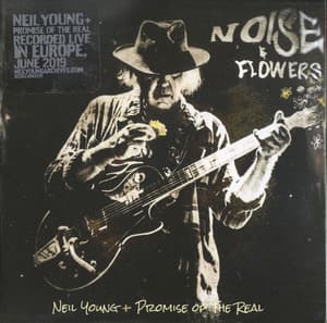 Noise And Flowers