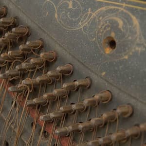 You, You're A History In Rust