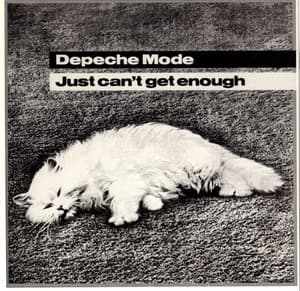 Just Can't Get Enough